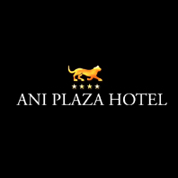 هتل ANI PLAZA