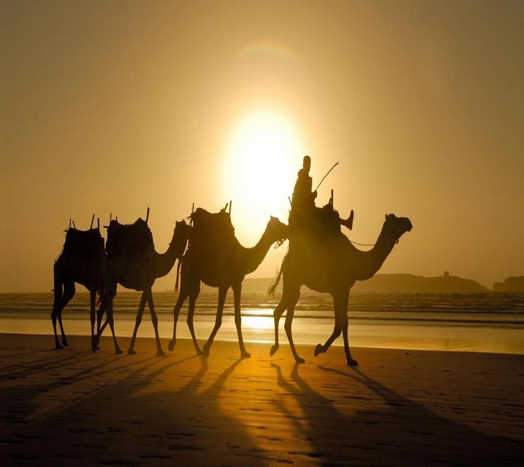 راهنمای سفر به شهر مراکش؛ مغرب